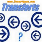 le point sur les transferts